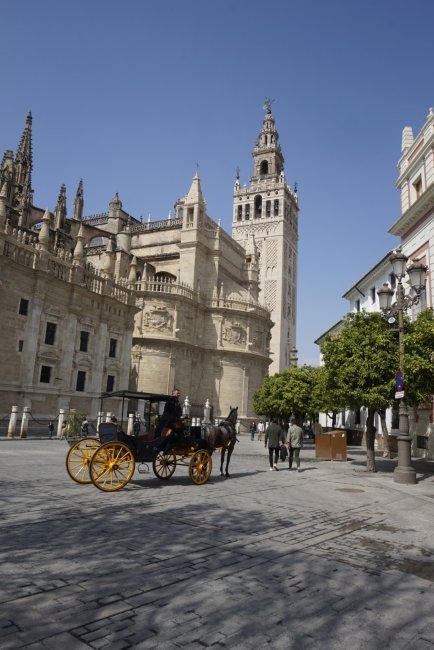 Quartier de Santa Cruz et Alfalfa (1/5)