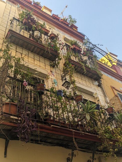 Quartier de Santa Cruz et Alfalfa (4/5)