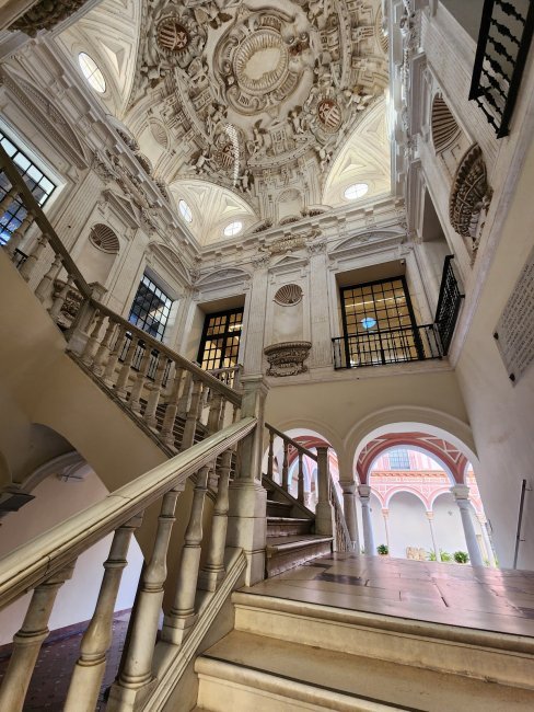 Musée des Beaux-Arts (3/4)