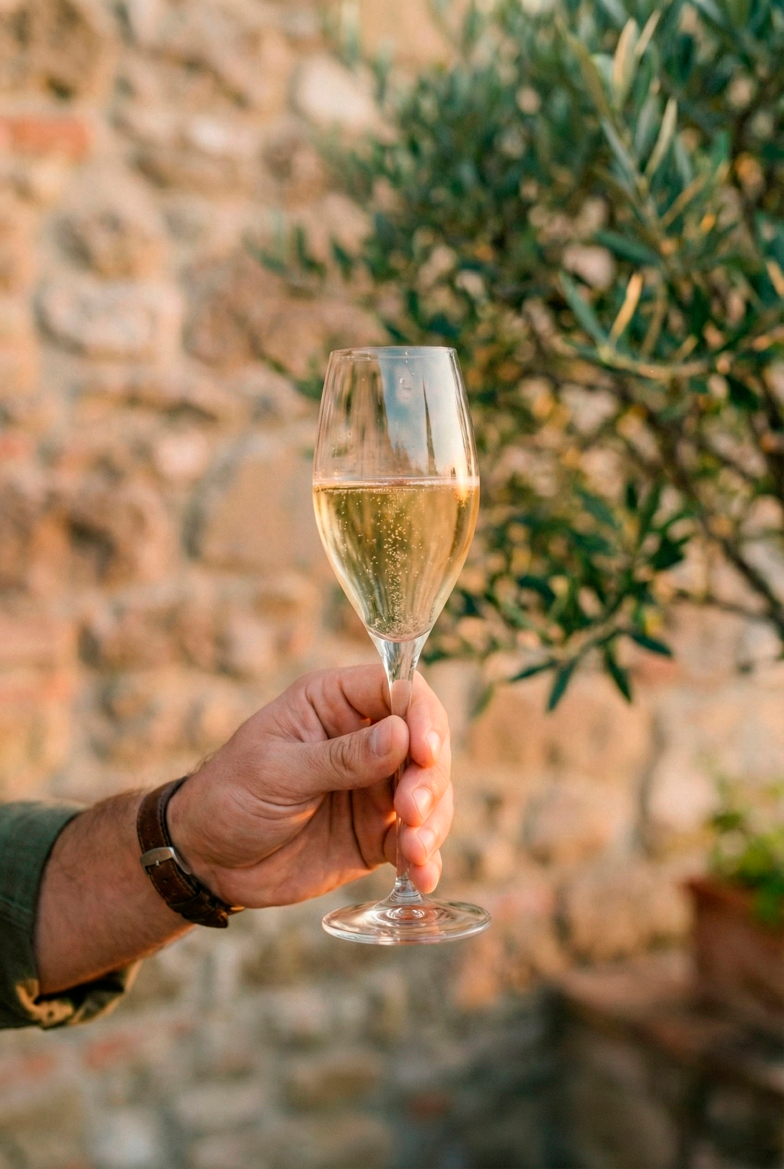 Cava (1/3)