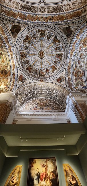 Musée des Beaux-Arts (2/4)