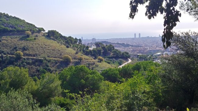 Randonnée à Collserola (3/3)